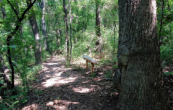 Discover Nature's Wonders: Lewisville Lake Environmental Learning Area Hosts Family-Friendly Open House