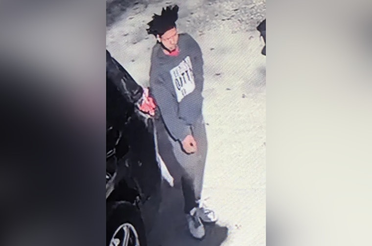 Downriver Manhunt Ends with Capture of Armed Suspect Wanted on Felony Charges in Taylor