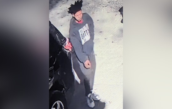 Downriver Manhunt Ends with Capture of Armed Suspect Wanted on Felony Charges in Taylor