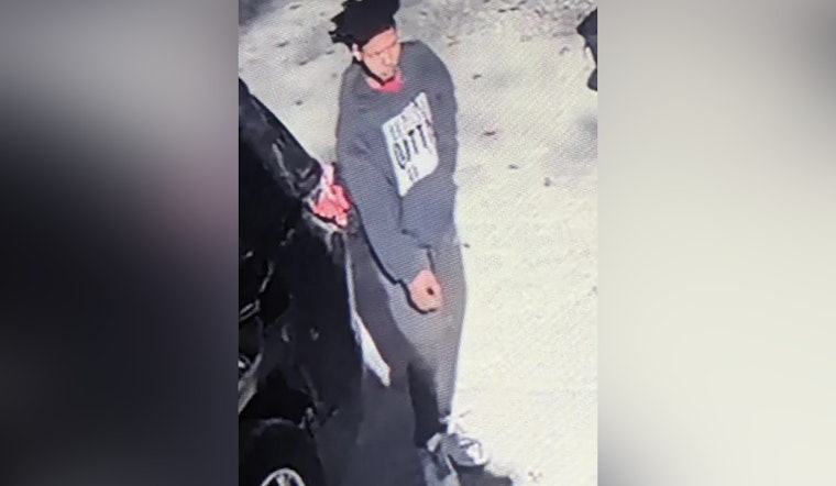 Downriver Manhunt Ends with Capture of Armed Suspect Wanted on Felony Charges in Taylor