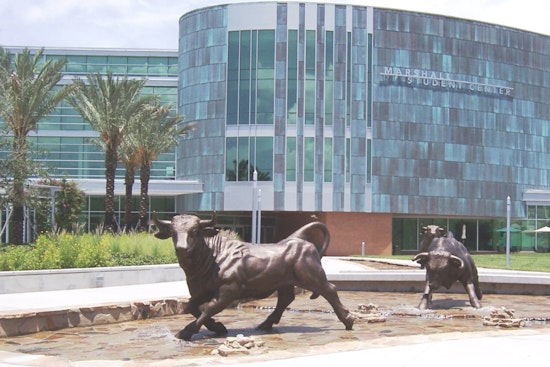 Dr. Moez Limayem Unanimously Selected as University of South Florida's Ninth President
