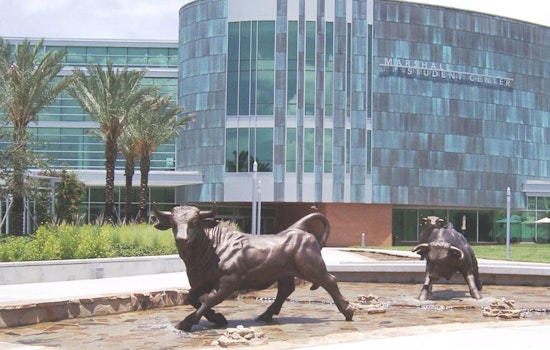 Dr. Moez Limayem Unanimously Selected as University of South Florida's Ninth President