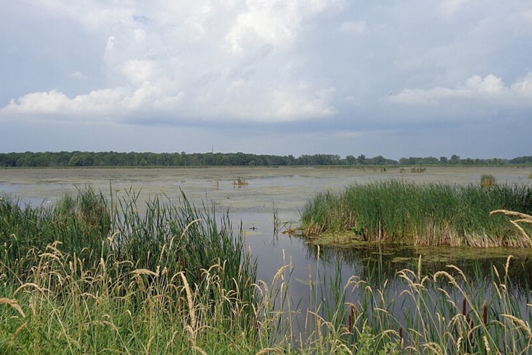 Drought Disrupts Waterfowl Hunting at Mid-Michigan's Maple River State Game Area