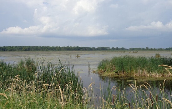 Drought Disrupts Waterfowl Hunting at Mid-Michigan's Maple River State Game Area