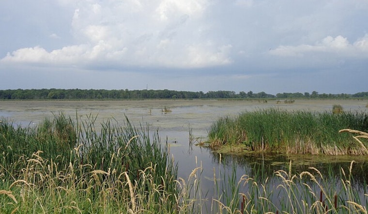 Drought Disrupts Waterfowl Hunting at Mid-Michigan's Maple River State Game Area