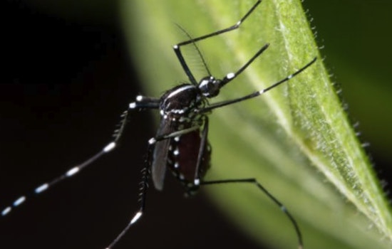 Durham County Responds to West Nile Virus with Scheduled Mosquito Spraying in Trinity Park Area