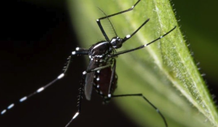 Durham County Responds to West Nile Virus with Scheduled Mosquito Spraying in Trinity Park Area