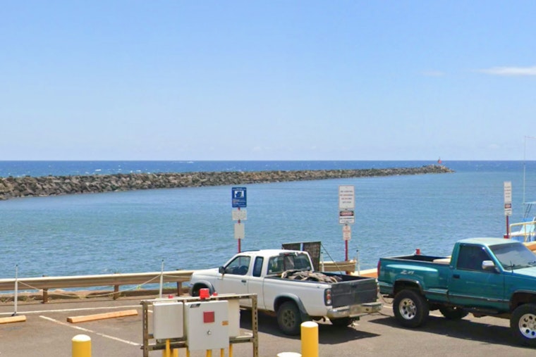 Early Humpback Whale Sightings Delight Marine Enthusiasts in Hawaii
