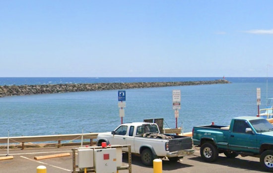 Early Humpback Whale Sightings Delight Marine Enthusiasts in Hawaii