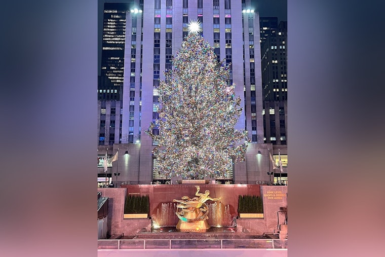 East Greenbush's Towering Spruce Set to Dazzle as Rockefeller Center's Christmas Tree in NYC