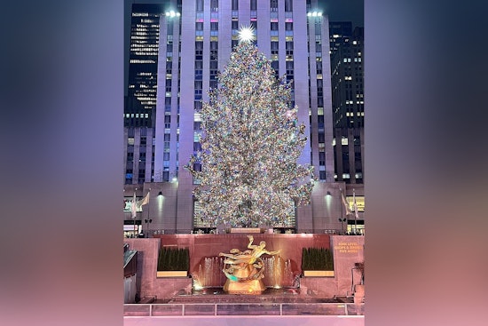 East Greenbush's Towering Spruce Set to Dazzle as Rockefeller Center's Christmas Tree in NYC