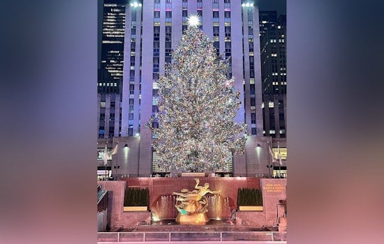 East Greenbush's Towering Spruce Set to Dazzle as Rockefeller Center's Christmas Tree in NYC