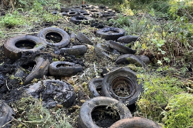 Eatonville Landfill Cleanup Revitalizes Nisqually State Park as Reopening Expected in 2026