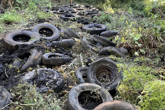 Eatonville Landfill Cleanup Revitalizes Nisqually State Park as Reopening Expected in 2026