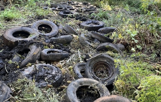 Eatonville Landfill Cleanup Revitalizes Nisqually State Park as Reopening Expected in 2026