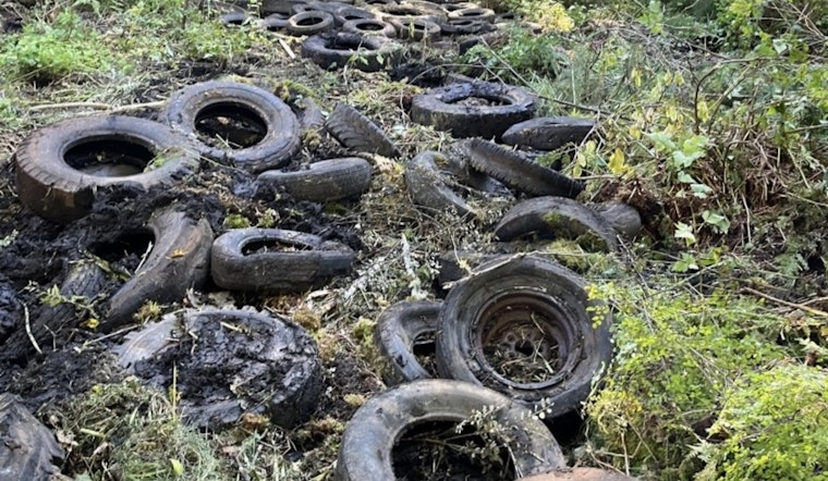Eatonville Landfill Cleanup Revitalizes Nisqually State Park as Reopening Expected in 2026