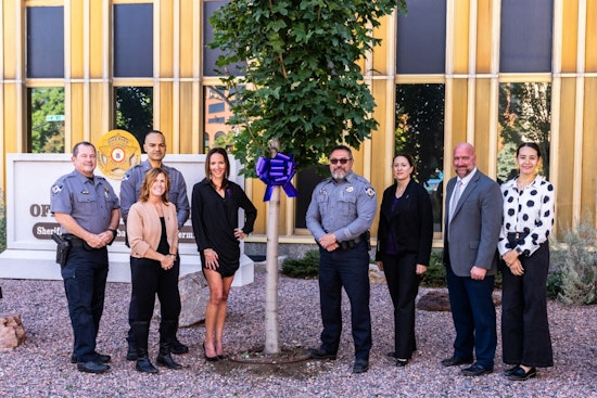 El Paso County Sheriff and TESSA Join Forces to Combat Domestic Violence in Colorado
