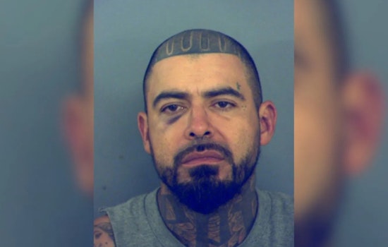 El Paso Man Arrested on Arson Charges After Fire at Marmolejo Apartments Claims Life of Dog