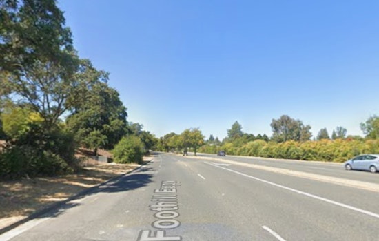 Elderly Cyclist Dies Following Collision on Foothill Expressway in Palo Alto