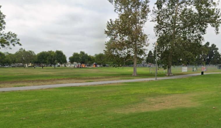 Elderly Pilot and Pedestrian Hospitalized After Plane Crash-Lands on Long Beach Soccer Field