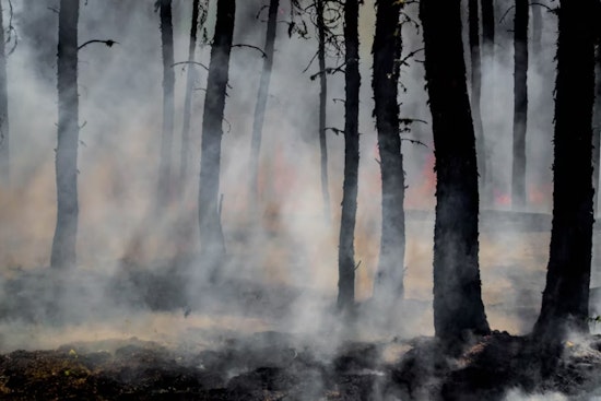 Emergency Crews Tackle Growing Wildfire in Houghton Lake, Michigan Amid Severe Drought Conditions