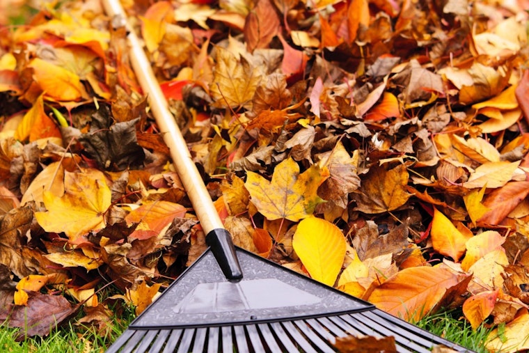 Englewood's Annual Leaf Recycling Event Hosted by A1 Organics Kicks Off October 27