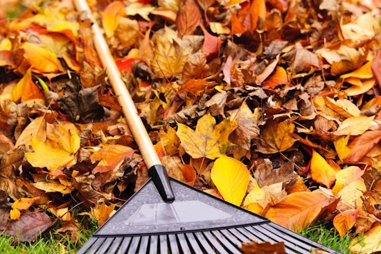 Englewood's Annual Leaf Recycling Event Hosted by A1 Organics Kicks Off October 27