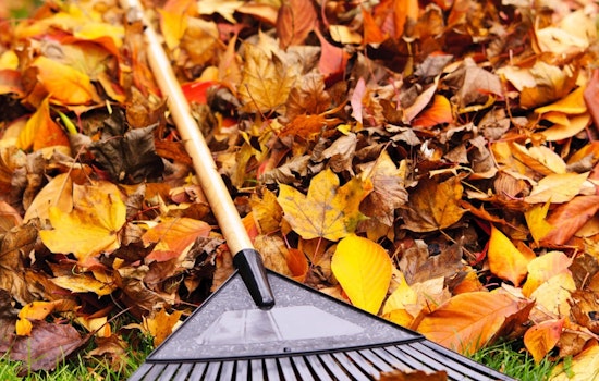 Englewood's Annual Leaf Recycling Event Hosted by A1 Organics Kicks Off October 27