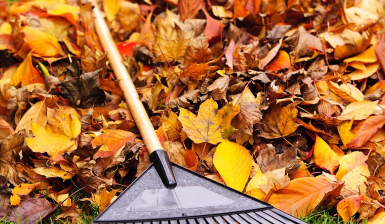Englewood's Annual Leaf Recycling Event Hosted by A1 Organics Kicks Off October 27