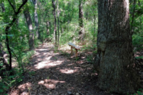 Experience Nature in the City at Lewisville Lake Environmental Learning Area Open House on Oct. 11