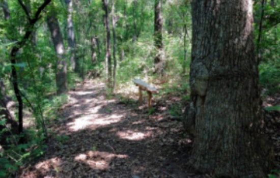 Experience Nature in the City at Lewisville Lake Environmental Learning Area Open House on Oct. 11