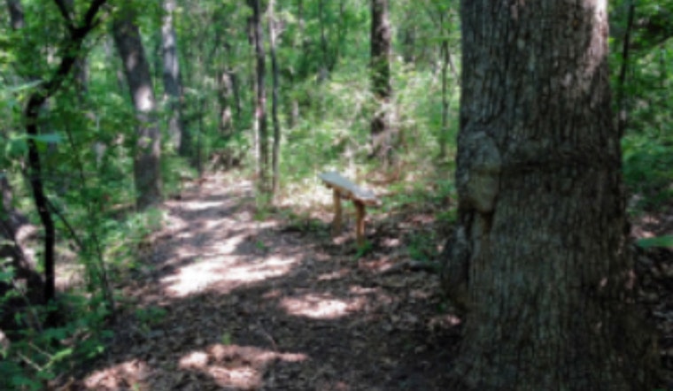 Experience Nature in the City at Lewisville Lake Environmental Learning Area Open House on Oct. 11