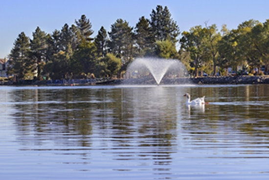 Explore Autumn Splendor: Reno's Fall Tree Walk at Virginia Lake Park with Local Experts