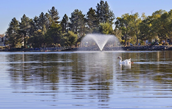 Explore Autumn Splendor: Reno's Fall Tree Walk at Virginia Lake Park with Local Experts