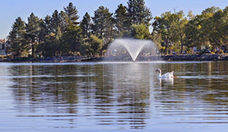 Explore Autumn Splendor: Reno's Fall Tree Walk at Virginia Lake Park with Local Experts