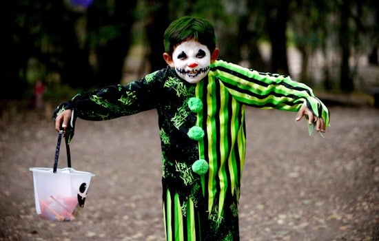 Family-Friendly Howl-O-Ween Festival Beckons at Long Beach's El Dorado Nature Center