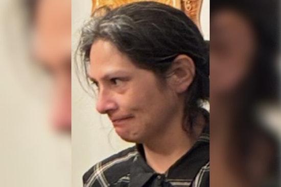 Feather Alert Issued for Missing San Diego Woman Toni Gonzales, Urgent Public Assistance Sought