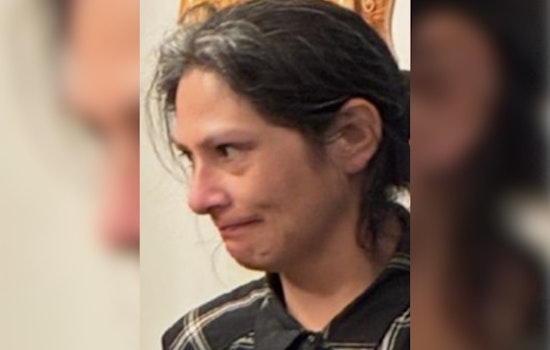 Feather Alert Issued for Missing San Diego Woman Toni Gonzales, Urgent Public Assistance Sought