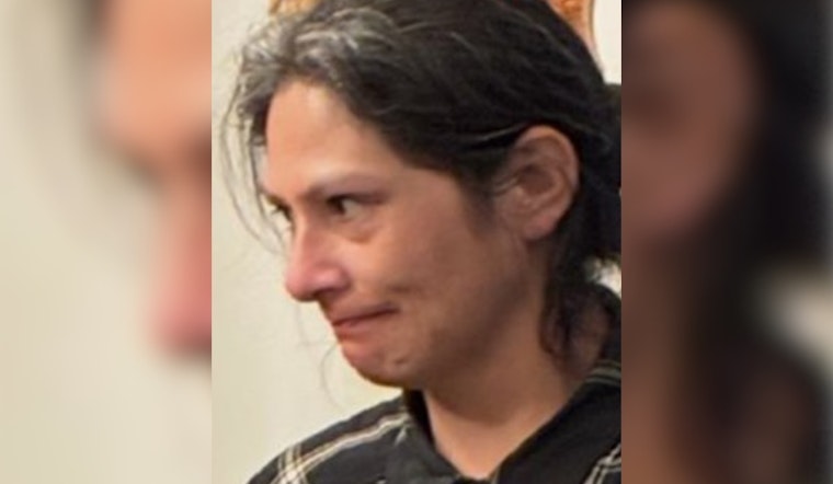 Feather Alert Issued for Missing San Diego Woman Toni Gonzales, Urgent Public Assistance Sought