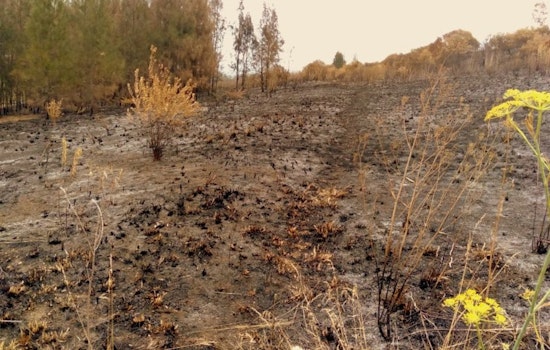 Fire Crews Extinguish 8-Acre Brush Fire in McHenry County Soybean Field