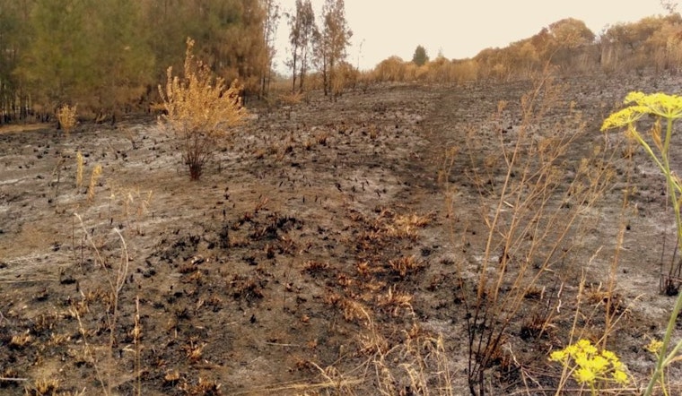 Fire Crews Extinguish 8-Acre Brush Fire in McHenry County Soybean Field