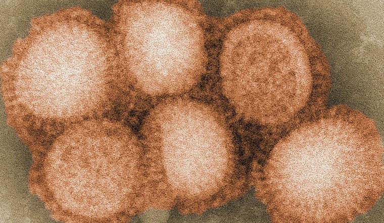 First Case of Avian Influenza Confirmed in Wallowa County, Oregon; State Officials Enact Quarantine and Cull Infected Flock
