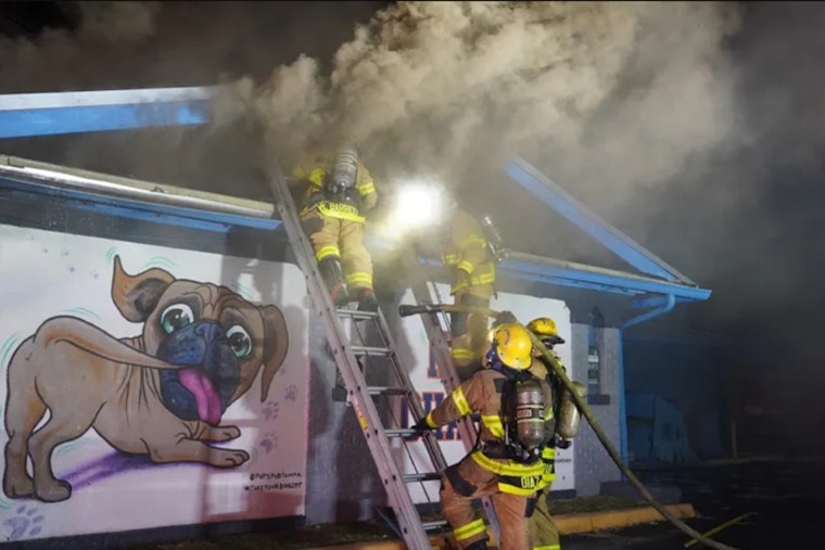 Former Pups Pub Sports Bar in Tampa Engulfed in Flames, Prompting Evacuations and Traffic Disruptions on Kennedy Boulevard
