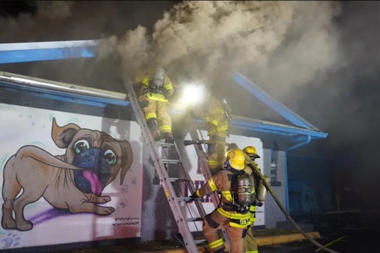 Former Pups Pub Sports Bar in Tampa Engulfed in Flames, Prompting Evacuations and Traffic Disruptions on Kennedy Boulevard
