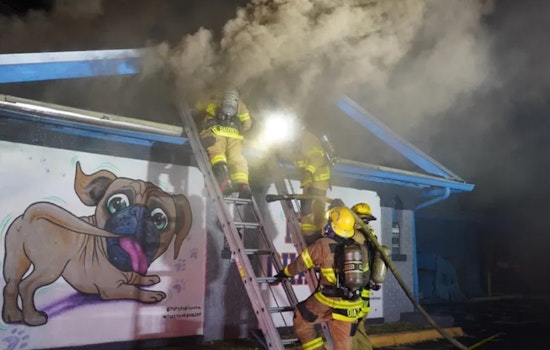 Former Pups Pub Sports Bar in Tampa Engulfed in Flames, Prompting Evacuations and Traffic Disruptions on Kennedy Boulevard