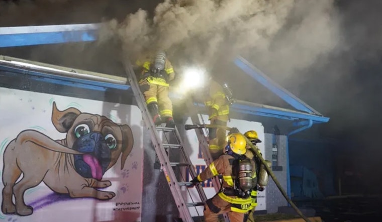 Former Pups Pub Sports Bar in Tampa Engulfed in Flames, Prompting Evacuations and Traffic Disruptions on Kennedy Boulevard