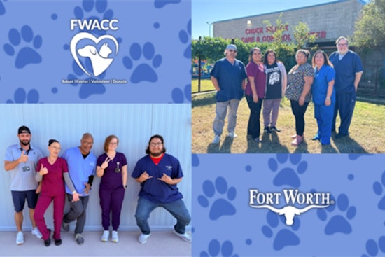 Fort Worth Animal Care & Control Achieves 85.47% Live Release Rate, Marking Major Strides in Animal Welfare