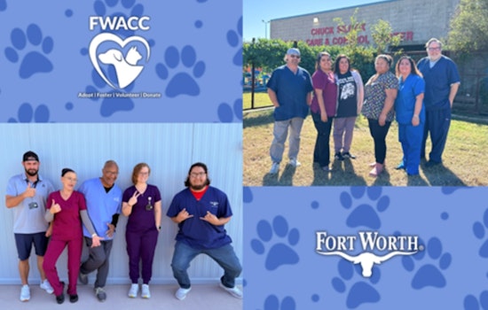 Fort Worth Animal Care & Control Achieves 85.47% Live Release Rate, Marking Major Strides in Animal Welfare