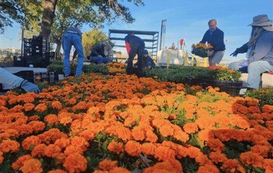 Fort Worth Buzzes with Fall Festivities: From City Hall to Boo Fests, Dive into Affordable Spooktacular Fun
