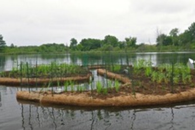 Free Webinar on Smart Stormwater Strategies Hosted by MnDOT Set for This Thursday